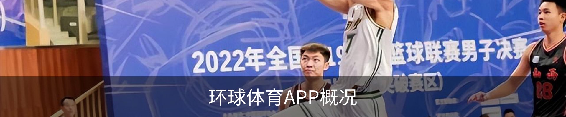 环球体育APP概况